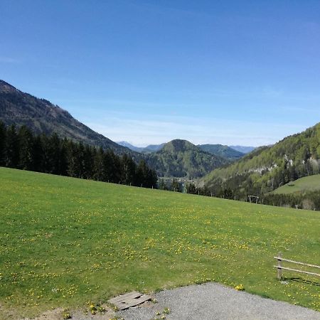 Bio Bauernhof Moas Villa Lunz am See Buitenkant foto