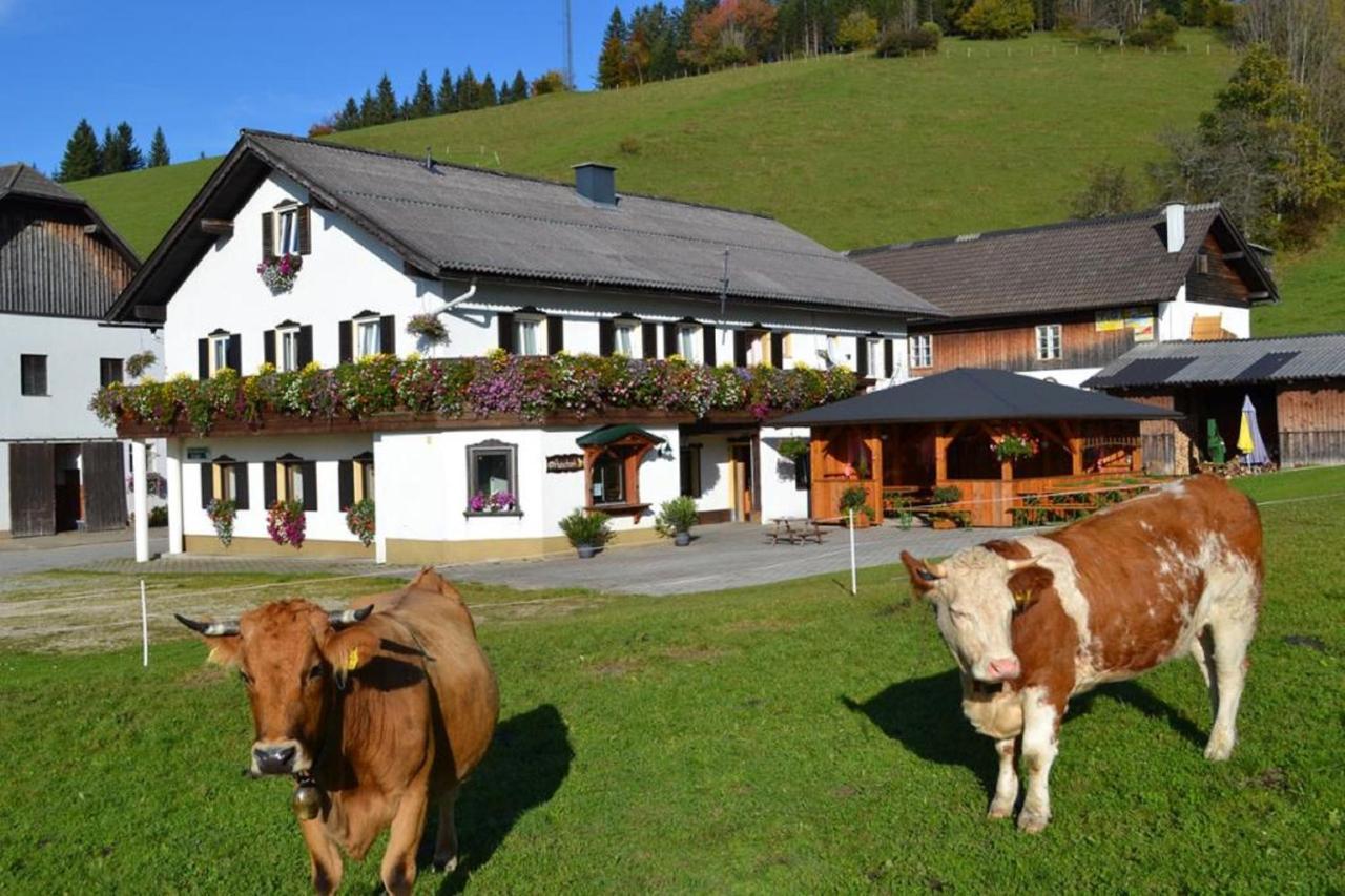 Bio Bauernhof Moas Villa Lunz am See Buitenkant foto