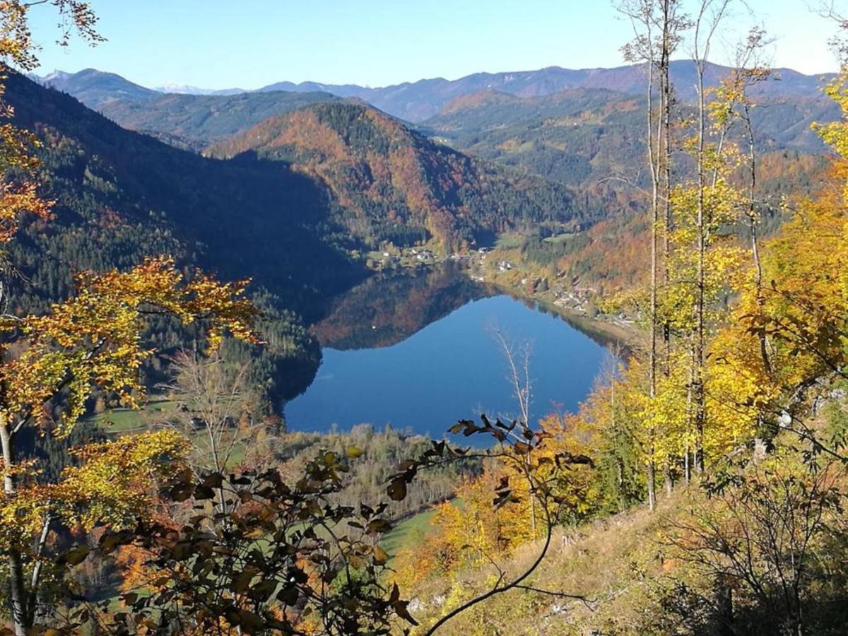Bio Bauernhof Moas Villa Lunz am See Buitenkant foto